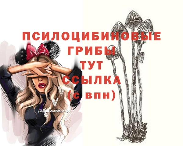 мяу мяу мука Абинск