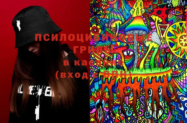 мяу мяу мука Абинск