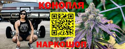 гашик Пыть-Ях