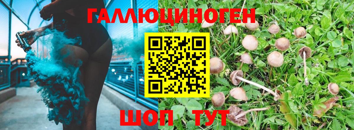 Псилоцибиновые грибы мухоморы Сокол
