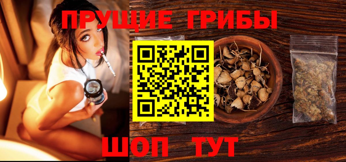 Псилоцибиновые грибы Psilocybine cubensis  Вход с VPN  Псилоцибиновые грибы GOLDEN TEACHER  Сокол 